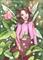Art: Little Rose ACEO by Artist Carmen Medlin