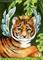 Art: Tiger Cub Fairy ACEO by Artist Carmen Medlin