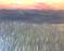 Art: PIECE OF HEAVEN by Artist CJs Soul Studio