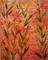 Art: Pink Bamboo Dragonflies by Artist Rebecca M Ronesi-Gutierrez