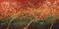 Art: Sun Drenched After the Storm by Artist Rebecca M Ronesi-Gutierrez
