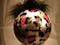 Art: 2007 Silver Diva Leopard  Dragonfly Ball ONE by Artist Rebecca M Ronesi-Gutierrez