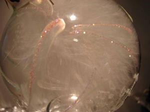 Detail Image for art Snow White Dragonfly Ball 2