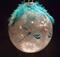 Art: Guinea Feather Polka Dot Dragonfly Ball Turquiose by Artist Rebecca M Ronesi-Gutierrez