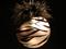 Art: 2007 Silver Pearl Zebra Holiday Ball TWO by Artist Rebecca M Ronesi-Gutierrez