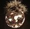 Art: 2007 Snow Diva Leopard Dragonfly Ball by Artist Rebecca M Ronesi-Gutierrez