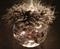 Art: 2007 Black Onyx Tiger Dragonfly Ball  by Artist Rebecca M Ronesi-Gutierrez