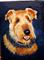 Art: Terrier #1 SOLD by Artist Barbara Haviland