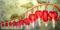 Art: Bleeding Hearts  Floral //SOLD by Artist Barbara Haviland
