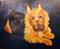 Art: Terrier #2//SOLD by Artist Barbara Haviland