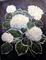 Art: Lace-Capped Hydrangeas//sold by Artist Barbara Haviland