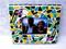 Art: Fiest and Iris Photo Frame (Sold) by Artist Laura Winzeler