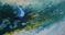 Art: ORIGINAL abstract LANDSCAPE PAINTING,acrylic on canvas    -     SOLD by Artist Nataera