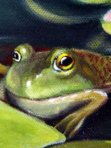 Detail Image for art Frog Among the Lilies