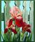 Art: Irises by Artist Rita C. Ford