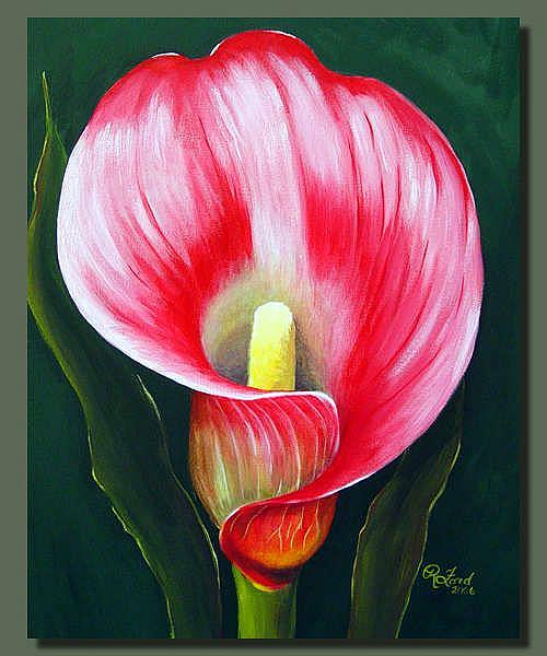 Art: Pink Calla Lily by Artist Rita C. Ford