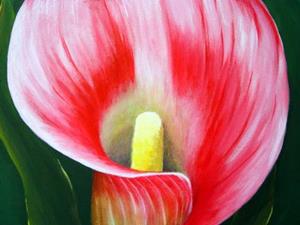 Detail Image for art Pink Calla Lily