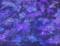 Art: BEYOND 1 by Artist CJs Soul Studio