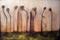 Art: SHADOWS by Artist CJs Soul Studio