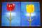 Art: SLEEPING TULIPS - A PAIR by Artist CJs Soul Studio