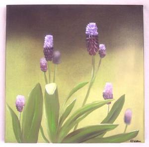 Detail Image for art HAZE - GRAPE HYACINTHS FLOWERS