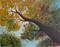 Art: modern ORIGINAL ABSTRACT- SOLD by Artist Nataera