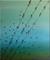 Art: ORIGINAL ABSTRACT    -    SOLD by Artist Nataera