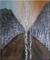 Art: ORIGINAL abstract PAINTING MODERN Art    -   SOLD by Artist Nataera
