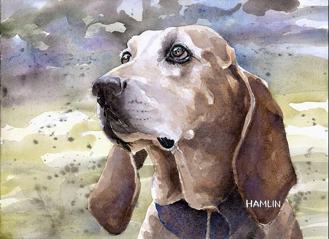 Art: Coonhound by Artist Steve Hamlin