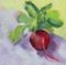 Art: radish by Artist C. k. Agathocleous