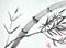 Art: Bamboo - sold by Artist Shari Lynn Schmidt