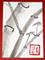 Art: Bamboo #6 - sold by Artist Shari Lynn Schmidt