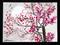 Art: Plum Blossoms #5 sold by Artist Shari Lynn Schmidt