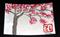 Art: Plum Blossoms #13 by Artist Shari Lynn Schmidt
