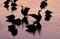 Art: They dance at Dawn by Artist W. Kevin Murray