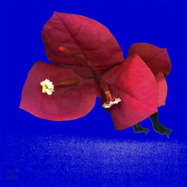 Art: Bougainvillea Surreal by Artist Deanne Flouton