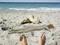 Art: Feet and Feat by Artist Deanne Flouton