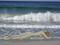 Art: Beach Body by Artist Deanne Flouton