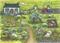 Art: TURKEY FARM by Artist Susan Brack