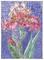 Art: PINK IRIS by Artist Theodora Demetriades 