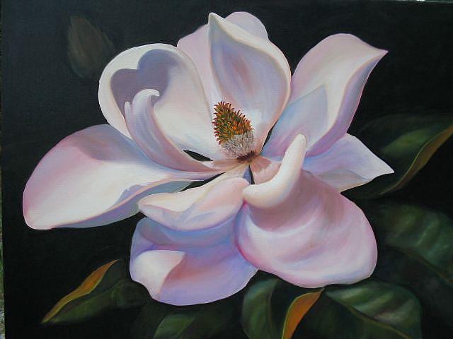 Magnolia -sold - by Ke Robinson from TROPICAL FLOWERS