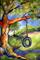 Art: old Oak Tire Swing by Artist Laurie Justus Pace