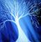 Art: WHITE TREE in the BLUE LIGHT  by Artist LUIZA VIZOLI