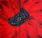 Art: RED POPPY by Artist LUIZA VIZOLI