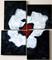 Art: WHITE FLOWER on BLACK by Artist LUIZA VIZOLI