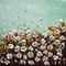 Art: WHITE FLOWERS FIELD  by Artist LUIZA VIZOLI