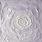 Art: DELICATE ROSE  by Artist LUIZA VIZOLI