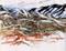 Art: Salt Lake Mountains by Artist Cathy  (Kate) Johnson