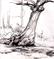 Art: Compass Tree by Artist Cathy  (Kate) Johnson