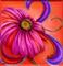 Art: Paisley Gerbera by Artist Alma Lee